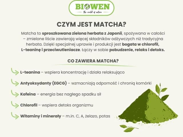 Jakie właściwości ma zielona herbata i dlaczego warto ją pić? Jakie właściwości ma zielona herbata i dlaczego warto ją pić?